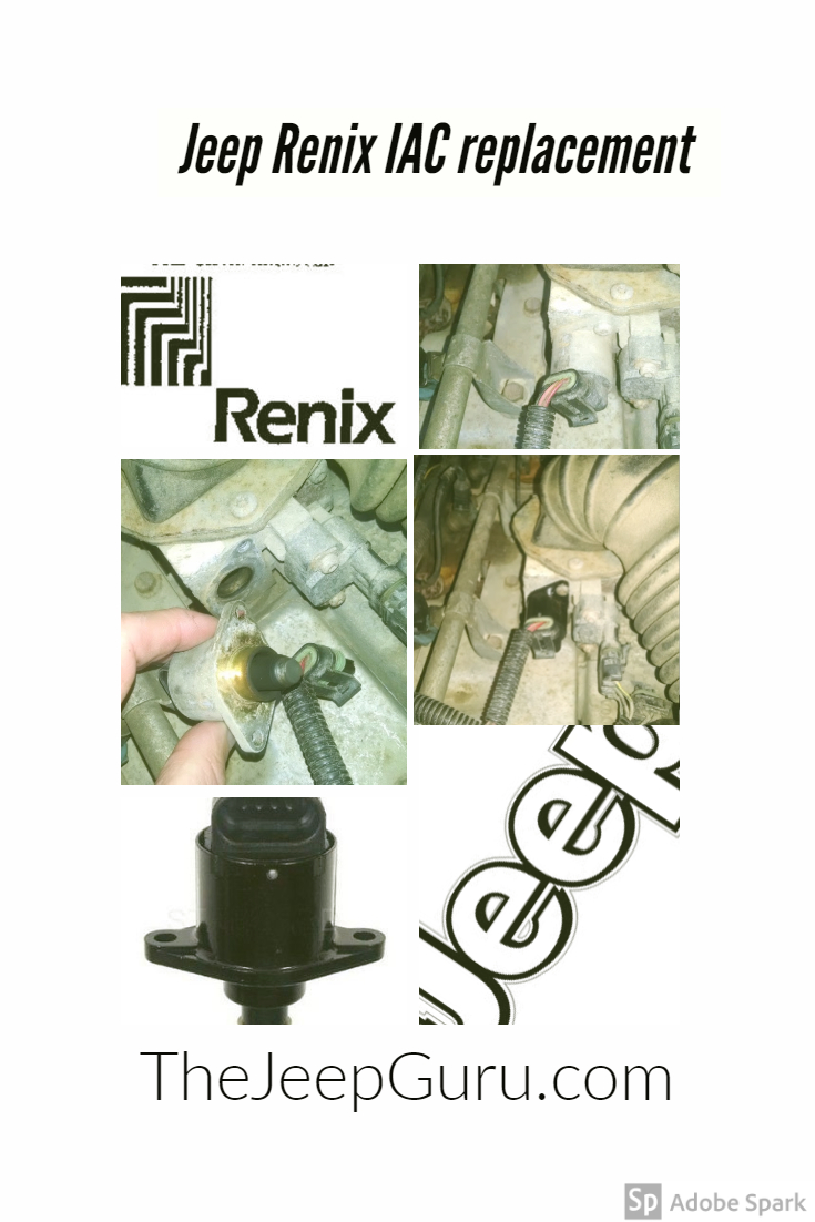 Renix IAC valve